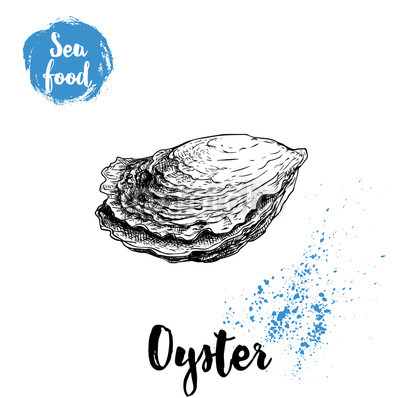 400x398 Hand Drawn Closed Oyster Shell Seafood Sketch Style Illustration - Oyster Shell Drawing