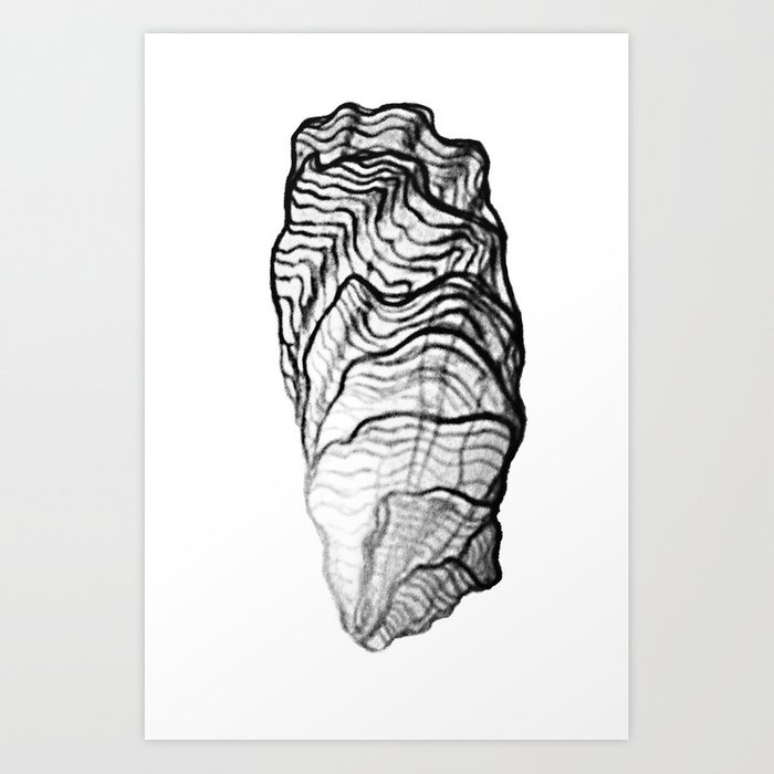 700x700 Oyster Shell Art Print - Oyster Shell Drawing