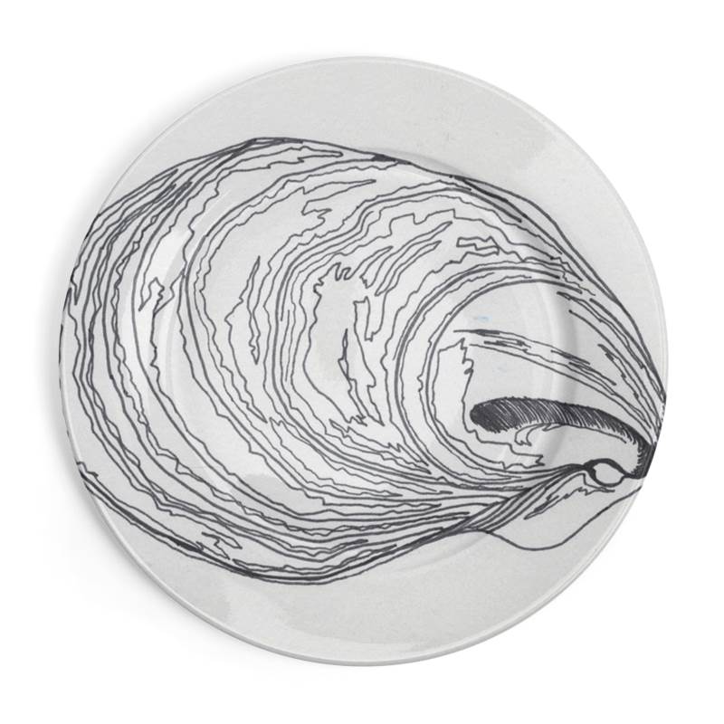 800x800 oyster shell china plates - Oyster Shell Drawing