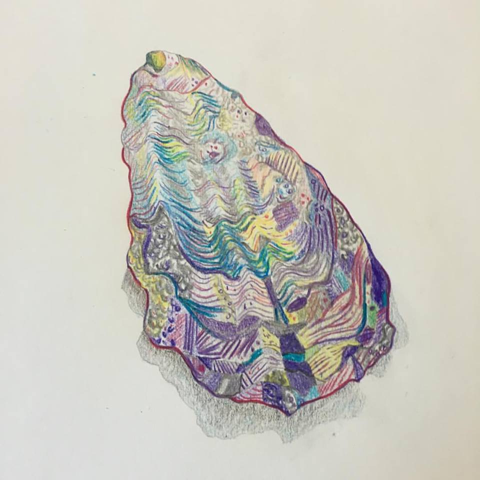 960x960 Post - Oyster Shell Drawing