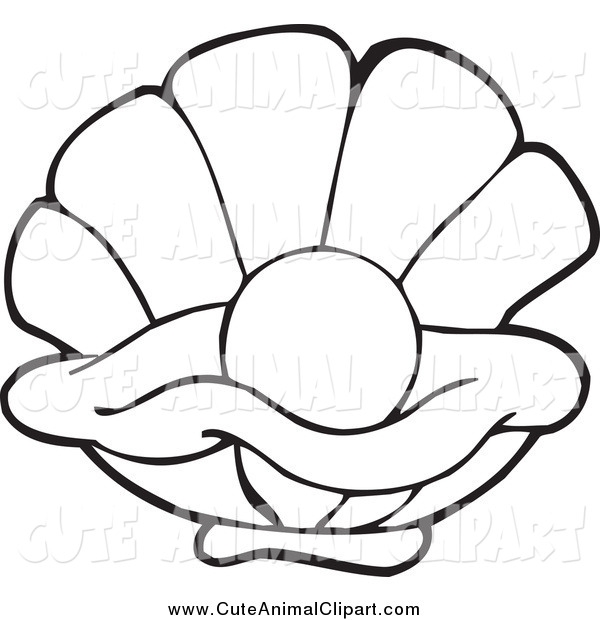 600x620 Shell Clipart Oyster Shell - Oyster Shell Drawing