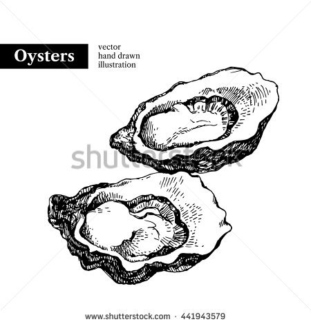 450x470 Vintage Clipart Oysters Collection - Oyster Shell Drawing