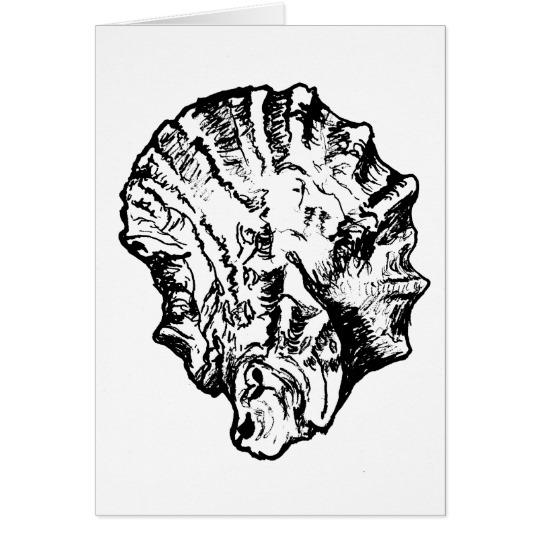 540x540 Blank Black And White Oyster Shell - Oyster Shell Drawing