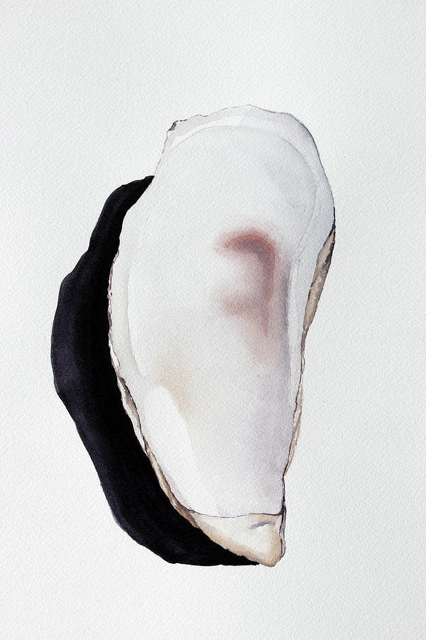 600x900 Flat Oyster Shell Painting - Oyster Shell Drawing