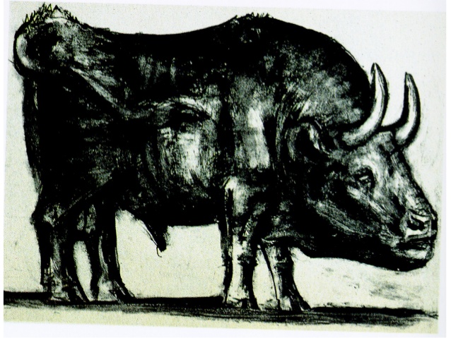 638x479 Pablo Picasso - Pablo Picasso Bull Drawing