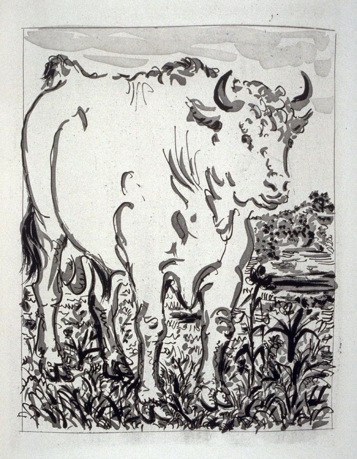 Pablo Picasso Bull Drawing At Explore Collection Of Pablo Picasso Bull Drawing 3235