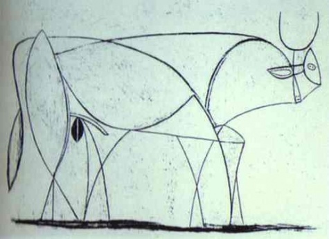 475x346 bull - Pablo Picasso Bull Drawing