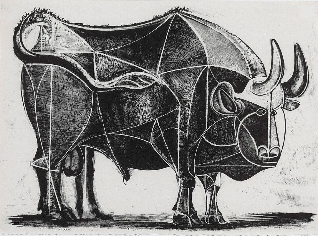 Pablo Picasso Bull Drawing At PaintingValley Com Explore Collection   Pablo Picasso Bull Drawing 9 