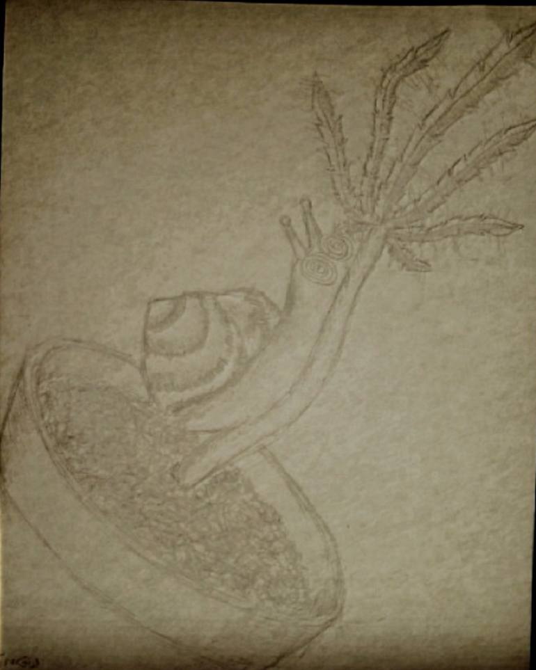 770x963 Snail's Pace Drawing - Pace Drawing