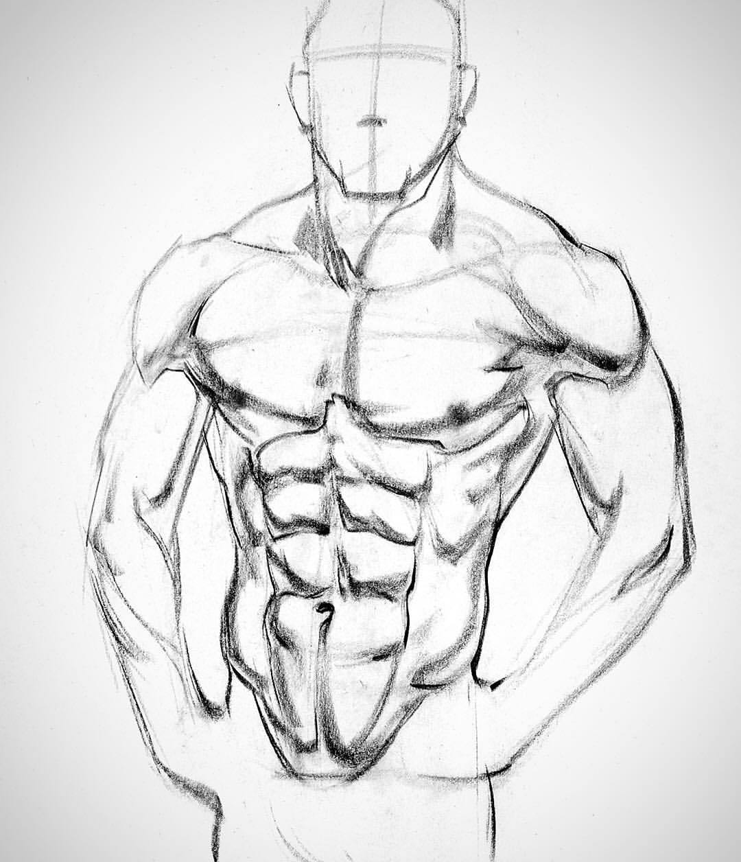 1080x1256 Drawing Anatomy Pack For Free Download - Pack Drawing. 