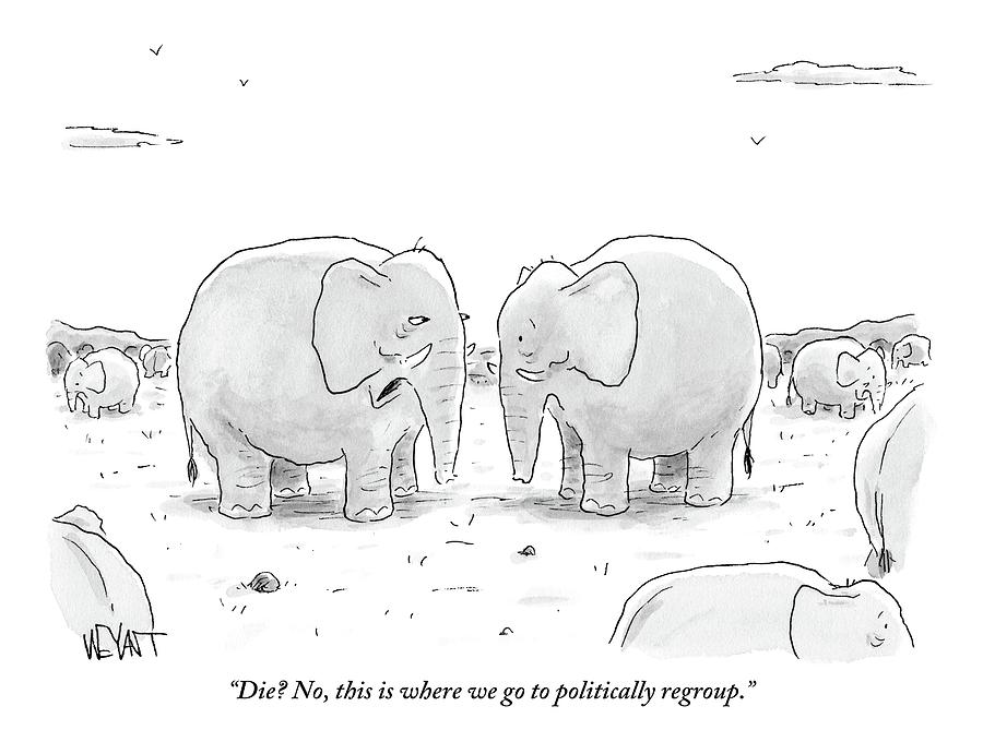 900x680 two old elephants talk in a pack of elephants drawing - Pack Drawing