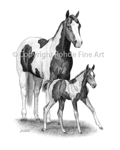 389x486 brand new world paint horse pinto horse art for sale - Paint Horse Drawing