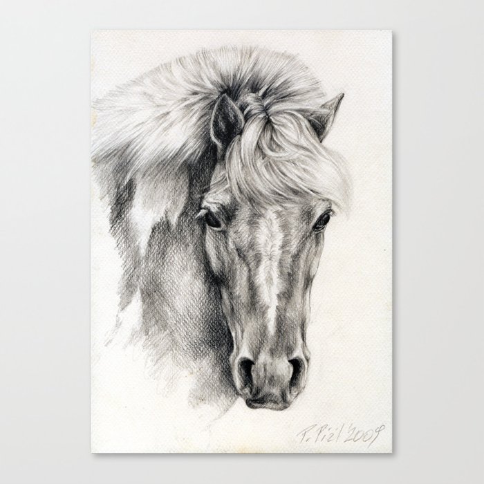 700x700 Pony Paint Horse Portrait Black White Pencil Drawing Canvas - Paint Horse Drawing