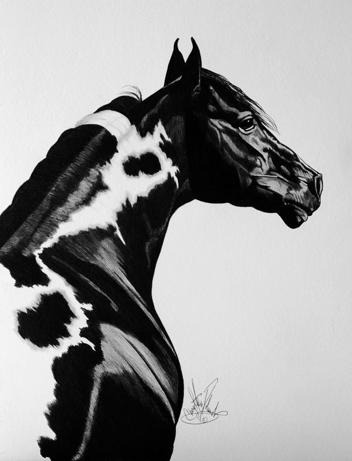 688x900 beauty in paint horses drawing - Paint Horse Drawing