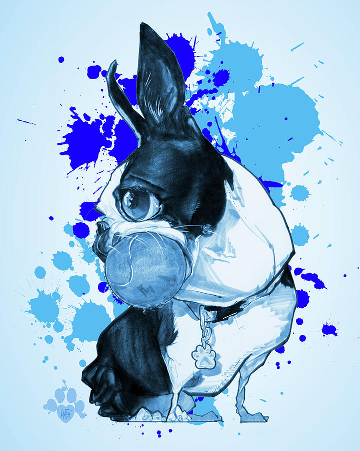720x900 Boston Terrier - Paint Splatter Drawing