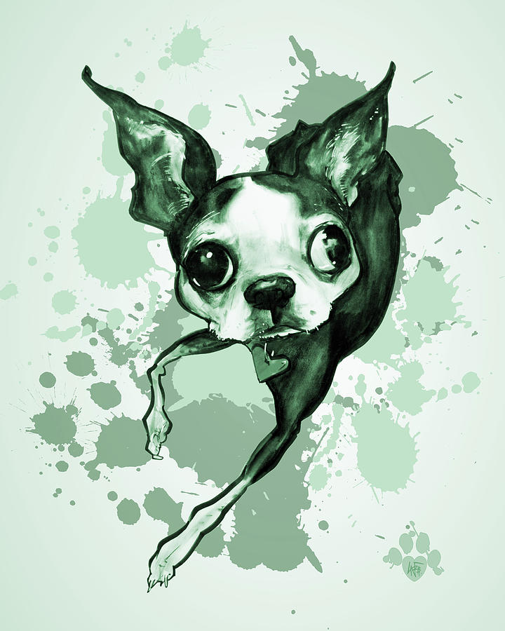 720x900 Boston Terrier - Paint Splatter Drawing