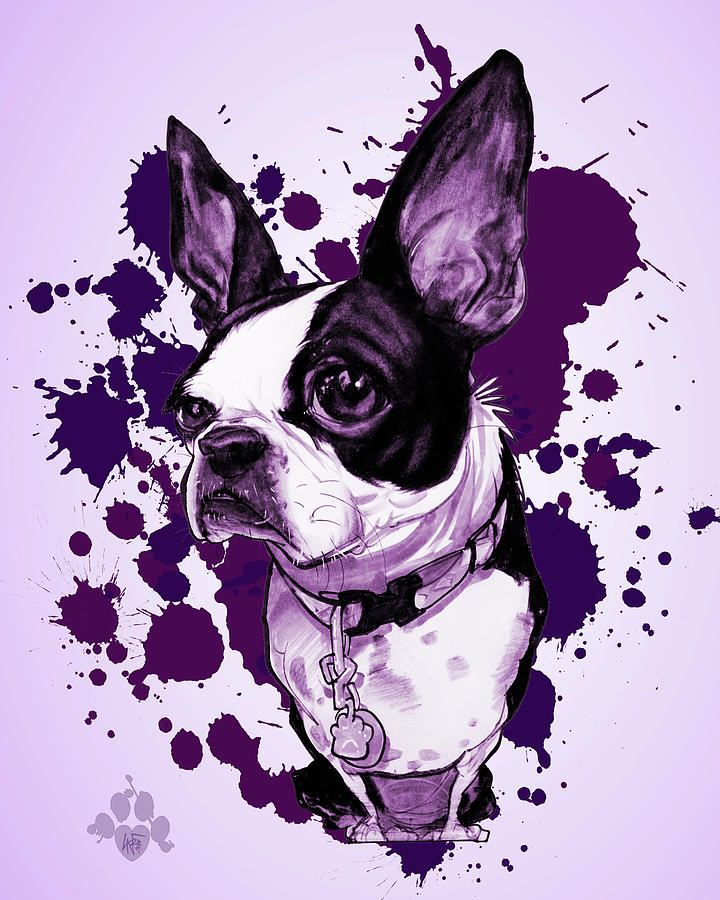 720x900 Boston Terrier - Paint Splatter Drawing