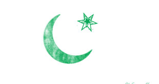 310x165 beautiful drawing pakistan flag wallpapers archives - Pakistan Flag Drawing