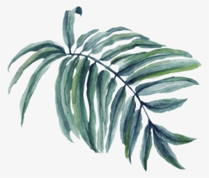 300x256 palm branch png, transparent palm branch png image free download - Palm Branch Drawing