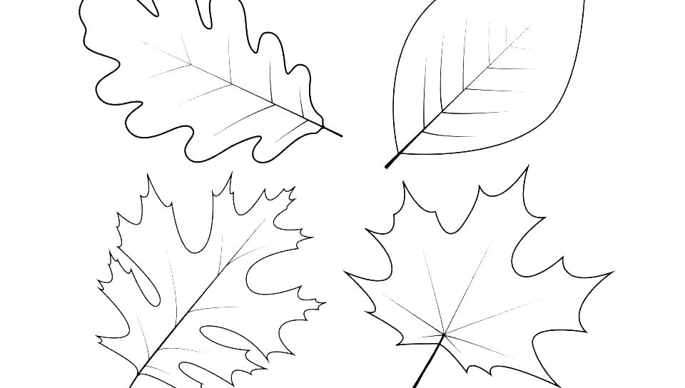 960x544 Printable Palm Branch Coloring - Palm Branch Drawing