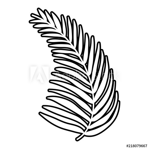 500x500 Line Tropical Palm Branch Leaves Plant - Palm Branch Drawing