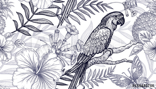 500x286 Flowers And Birds Seamless Pattern Hand Drawing Black And White - Palm Branch Drawing