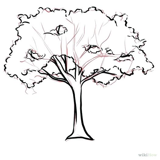 525x525 how to draw leaves on a tree draw a tree easily how to how do you - Palm Branch Drawing