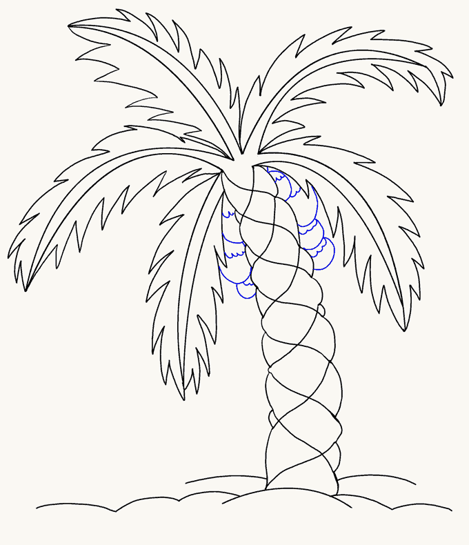 680x790 how to draw a palm tree easy drawing guides - Palm Drawing