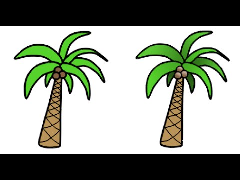 480x360 How To Draw Palm Tree For Kids - Palm Drawing