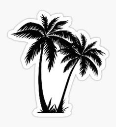 236x258 Great Sketch Of Palm Trees Beach Illustrations And Photography - Palm Drawing