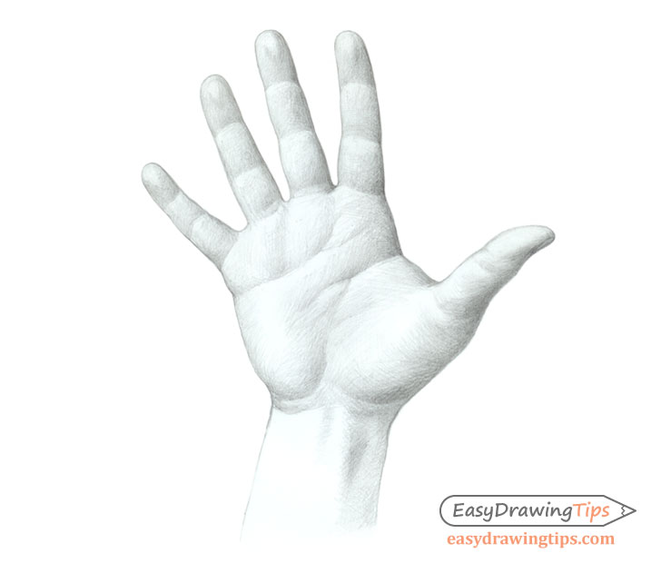 728x620 How To Draw A Hand Step - Palm Drawing