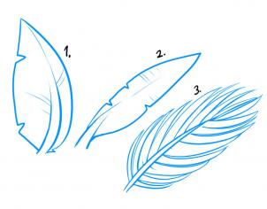 302x236 How To Draw How To Draw Palm Trees - Palm Frond Drawing