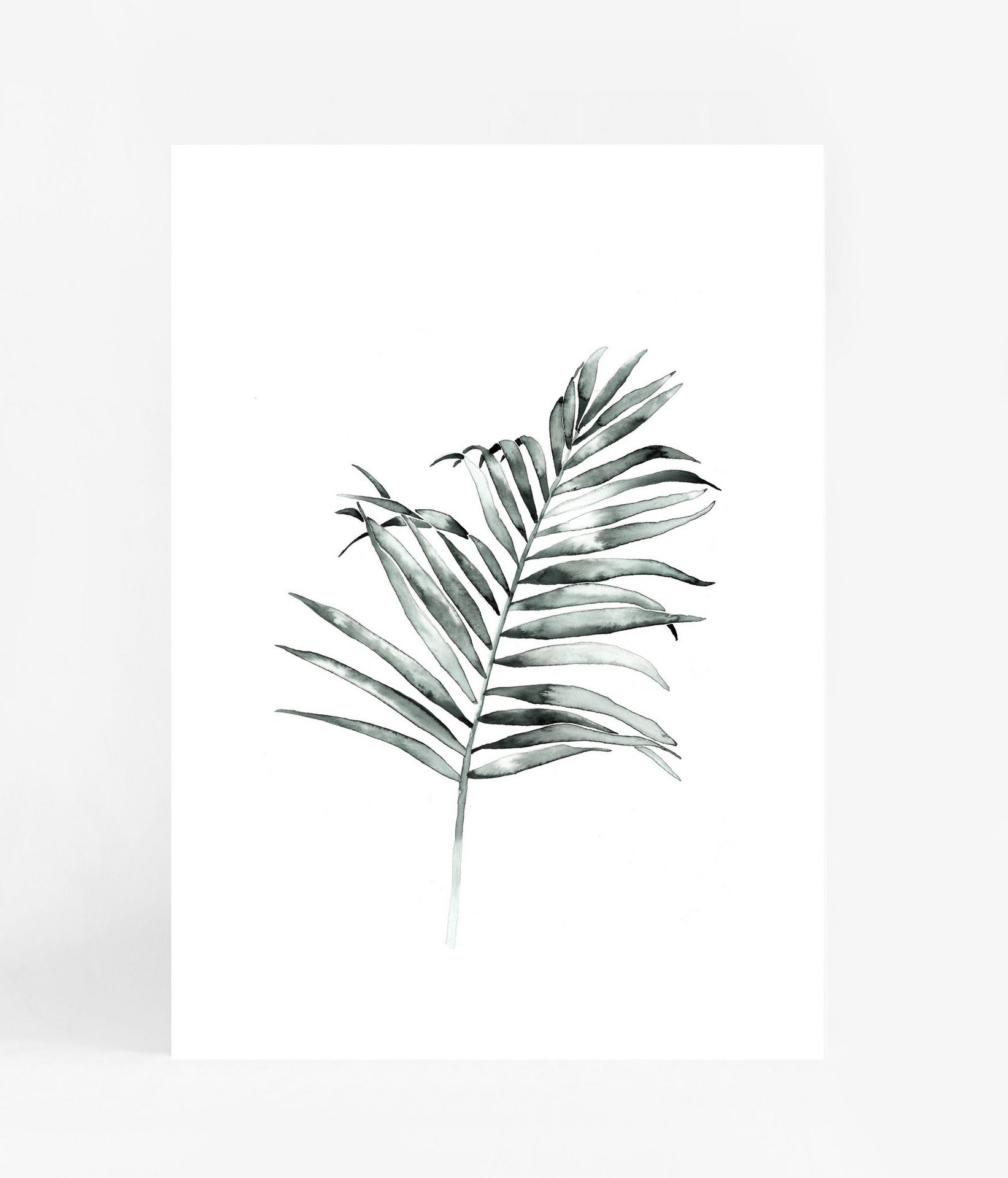 1643x1920 Palm Frond - Palm Frond Drawing