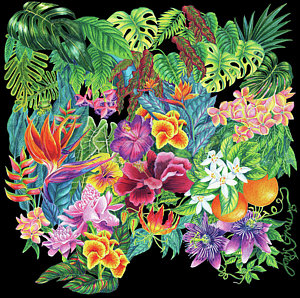 300x298 Palm Frond Drawings Fine Art America - Palm Frond Drawing