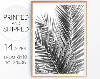 340x270 Black Palm Leaf Etsy - Palm Frond Drawing
