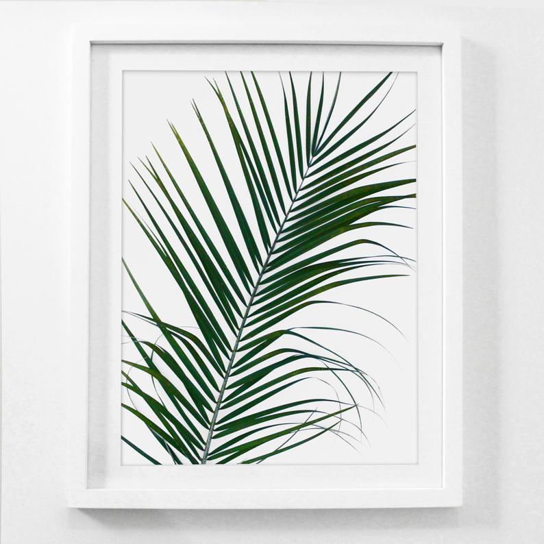 Palm Frond Drawing at PaintingValley.com | Explore collection of Palm ...