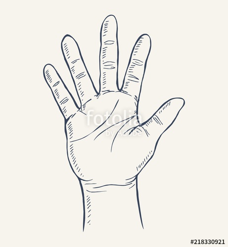 461x500 hand drawn sketch of hand gesture, open palm - Palm Hand Drawing