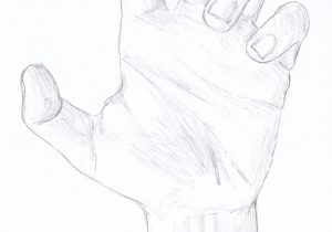 300x210 How To Draw A Hand Palm Up Step - Palm Hand Drawing