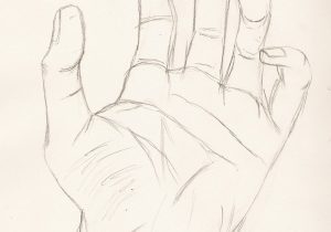 300x210 how to draw an open left hand how to draw open hand - Palm Hand Drawing