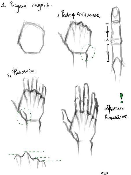 453x604 How To Draw Palm Hand Art - Palm Hand Drawing