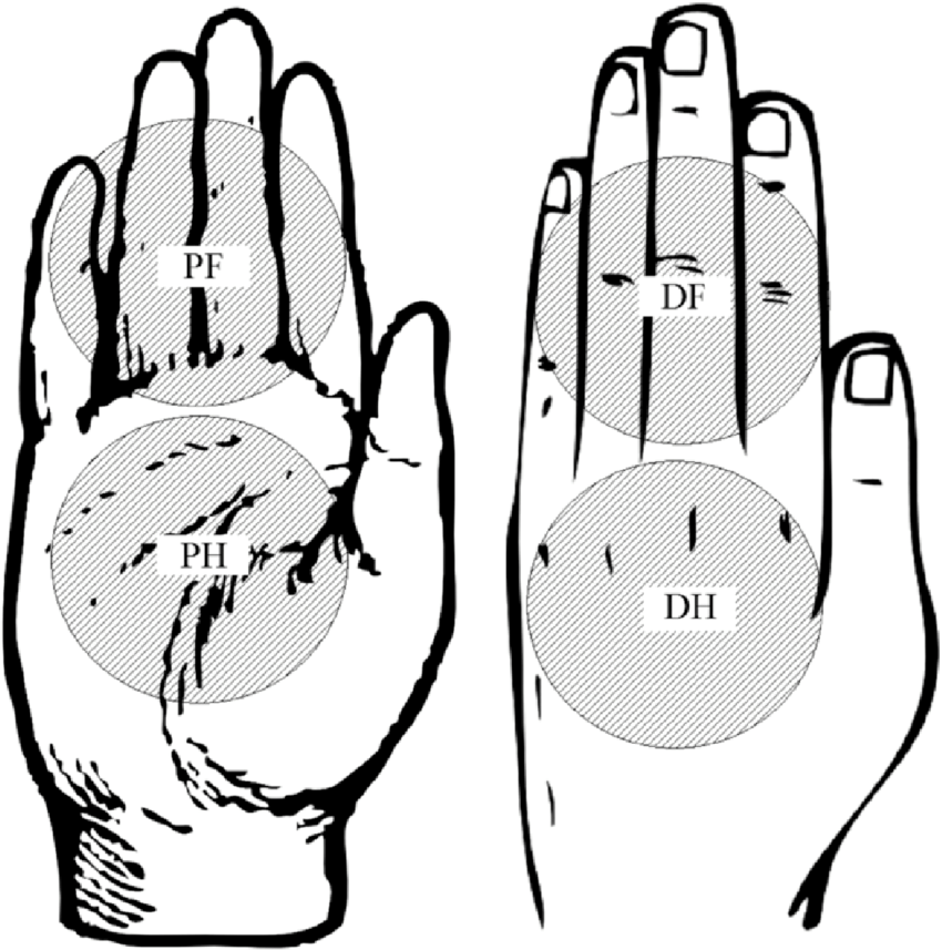 850x857 illustration of the measurement positions of one hand palm side - Palm Hand Drawing