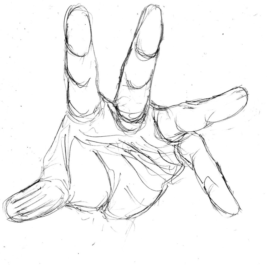 900x892 Open Palm Hand Drawing - Palm Hand Drawing