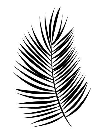 Palm Leaf Drawing at PaintingValley.com | Explore collection of Palm