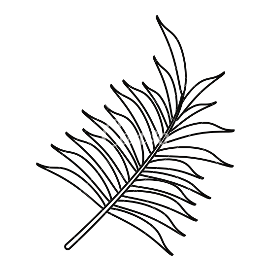 550x550 palm leaf drawing transparent png clipart free download - Palm Leaf Drawing