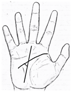 234x300 Open Palm Hand Drawing - Palm Of Hand Drawing