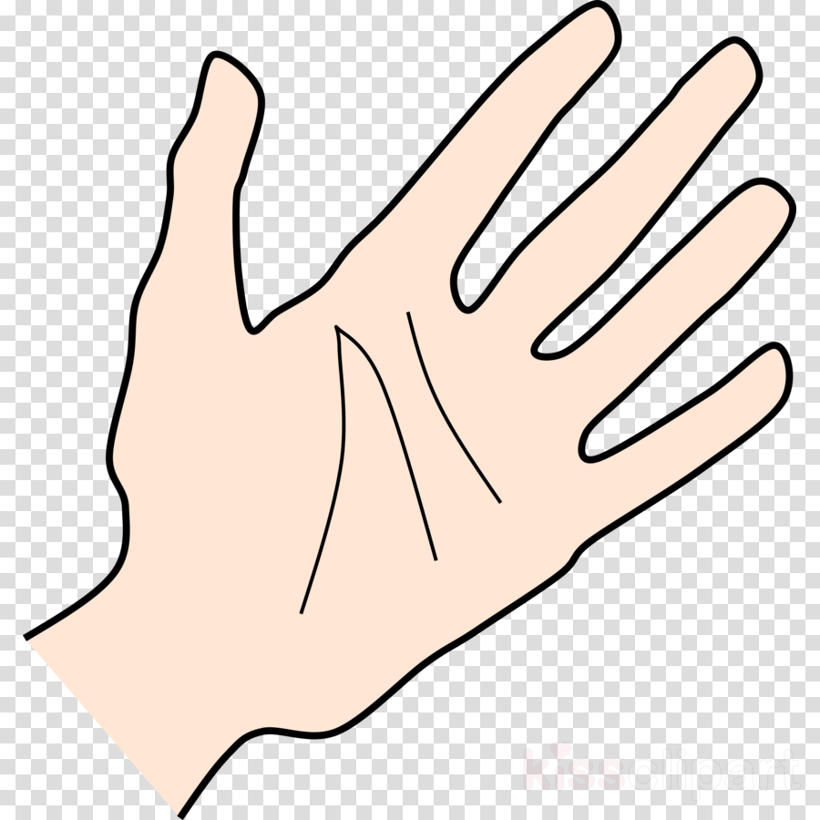 900x900 Palm, Hand, Drawing, Transparent Png Image Clipart Free Download - Palm Of Hand Drawing