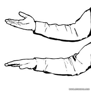 300x300 Drawing Veins Palm Hand Transparent Png Clipart Free Download - Palm Of Hand Drawing