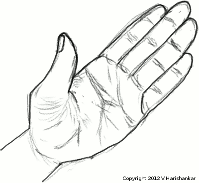 400x368 Hari's Corner - Palm Of Hand Drawing