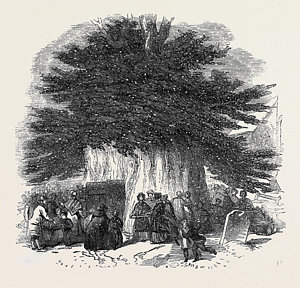 300x288 palm sunday drawings fine art america - Palm Sunday Drawings