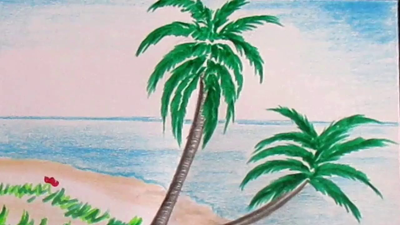 1280x720 How To Draw - Palm Tree Beach Drawing